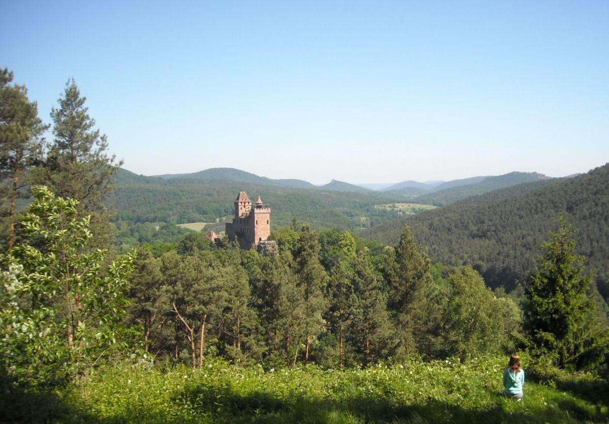 Ferienwohnung "Monte Noble" Suedpfalz Erlenbach  Bagian luar foto