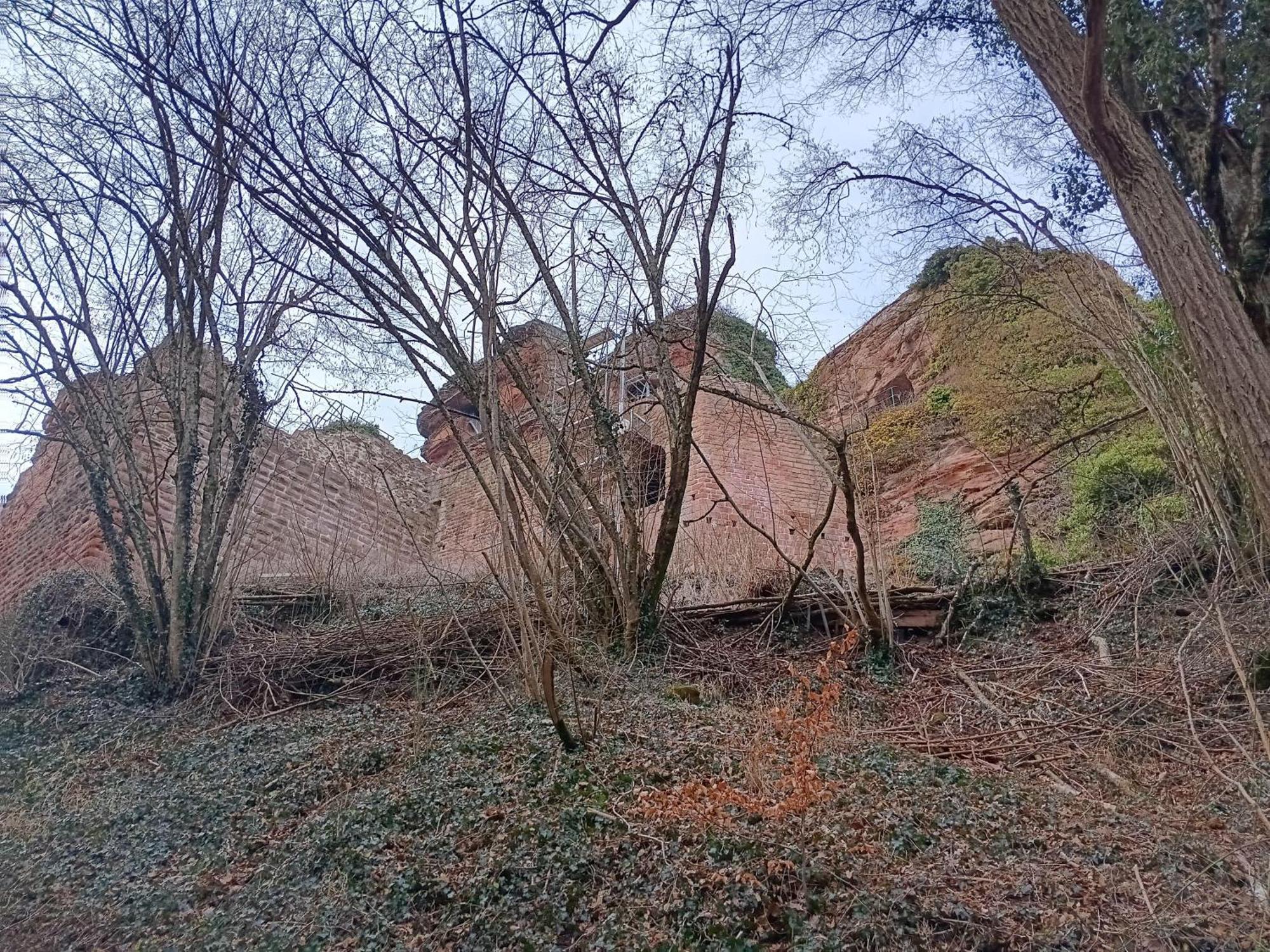Ferienwohnung "Monte Noble" Suedpfalz Erlenbach  Bagian luar foto
